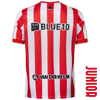 Afbeelding van Thuisshirt JR 26-27