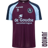 Afbeelding van TRAININGSSHIRT SPELER JR 25-26