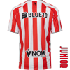 Afbeelding van THUISSHIRT JR 25-26
