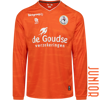 Afbeelding van KEEPERSSHIRT JR ORANJE 25-26