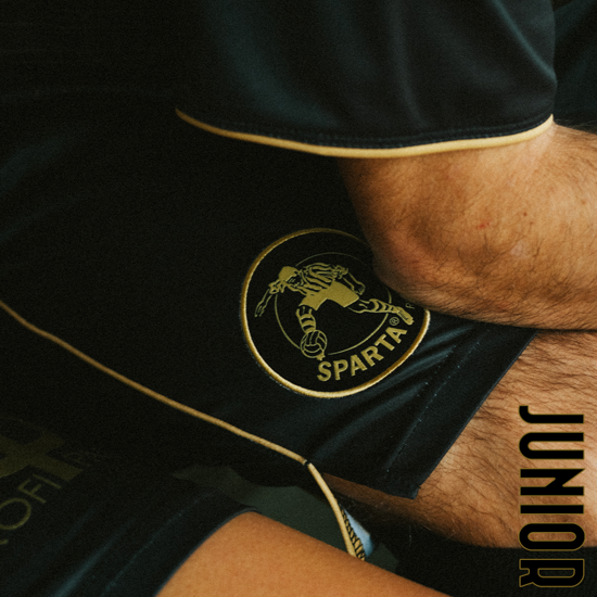 Afbeelding van ODE AAN SPANGEN BROEKJE JR