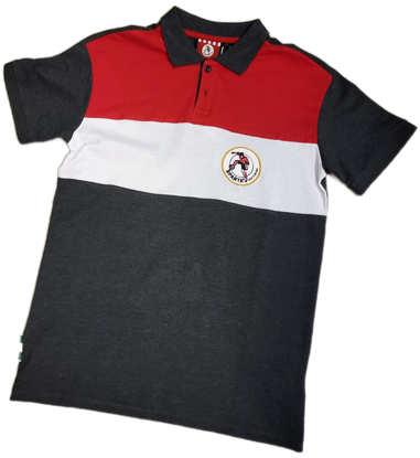 Afbeeldingen van POLO BLOKKEN