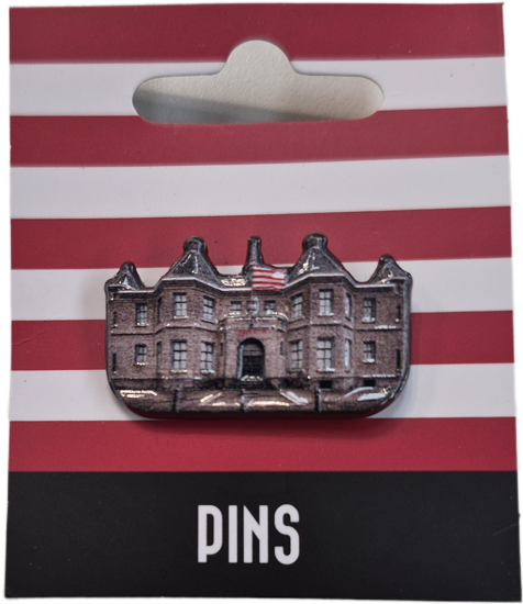 Afbeelding van SPELDJE / PIN KASTEEL